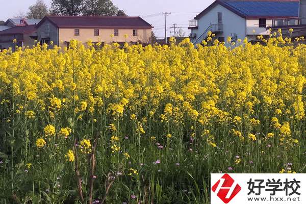 湖南省有哪些比較好的技校？熱門專業有哪些？