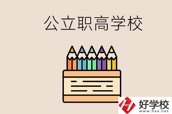 岳陽的公立職高學校有哪些？學費一般是多少？