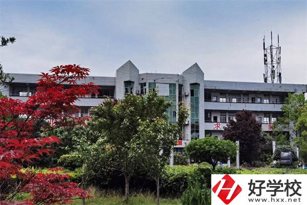 在懷化想學美術可以去什么中職？開設有什么專業？