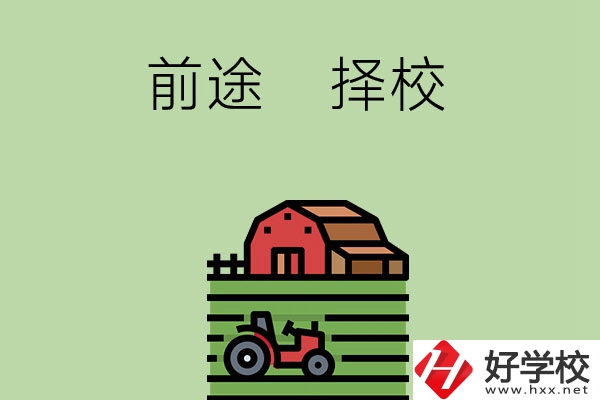 在長沙讀中職學校有前途嗎，如何擇校？