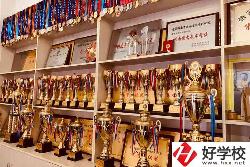 桑植縣民族文武職業學校獎杯