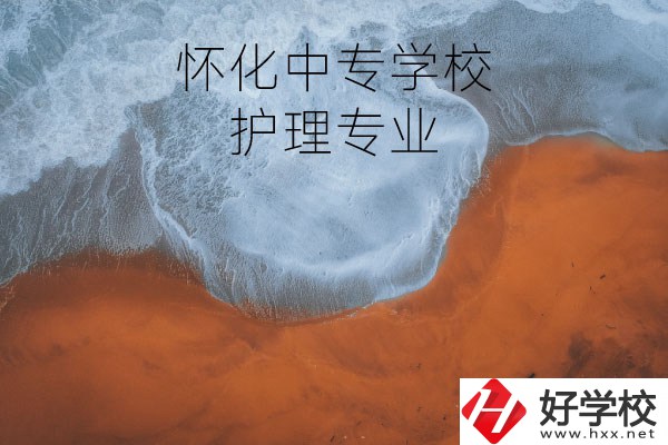 懷化有學護理專業的中專學校嗎？
