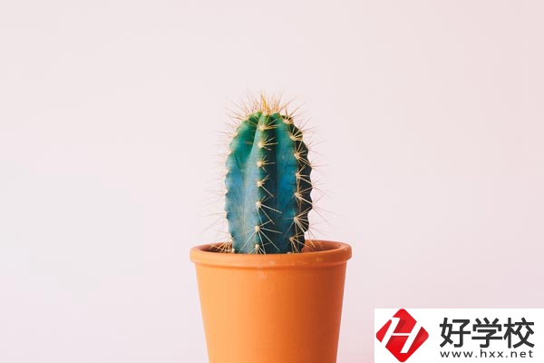 長沙有哪些中職學?？梢詫W習幼師專業？
