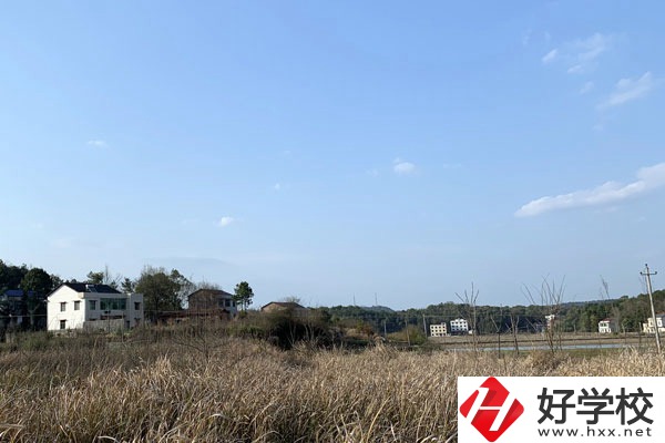 衡陽中德科技職業學校有哪些專業？