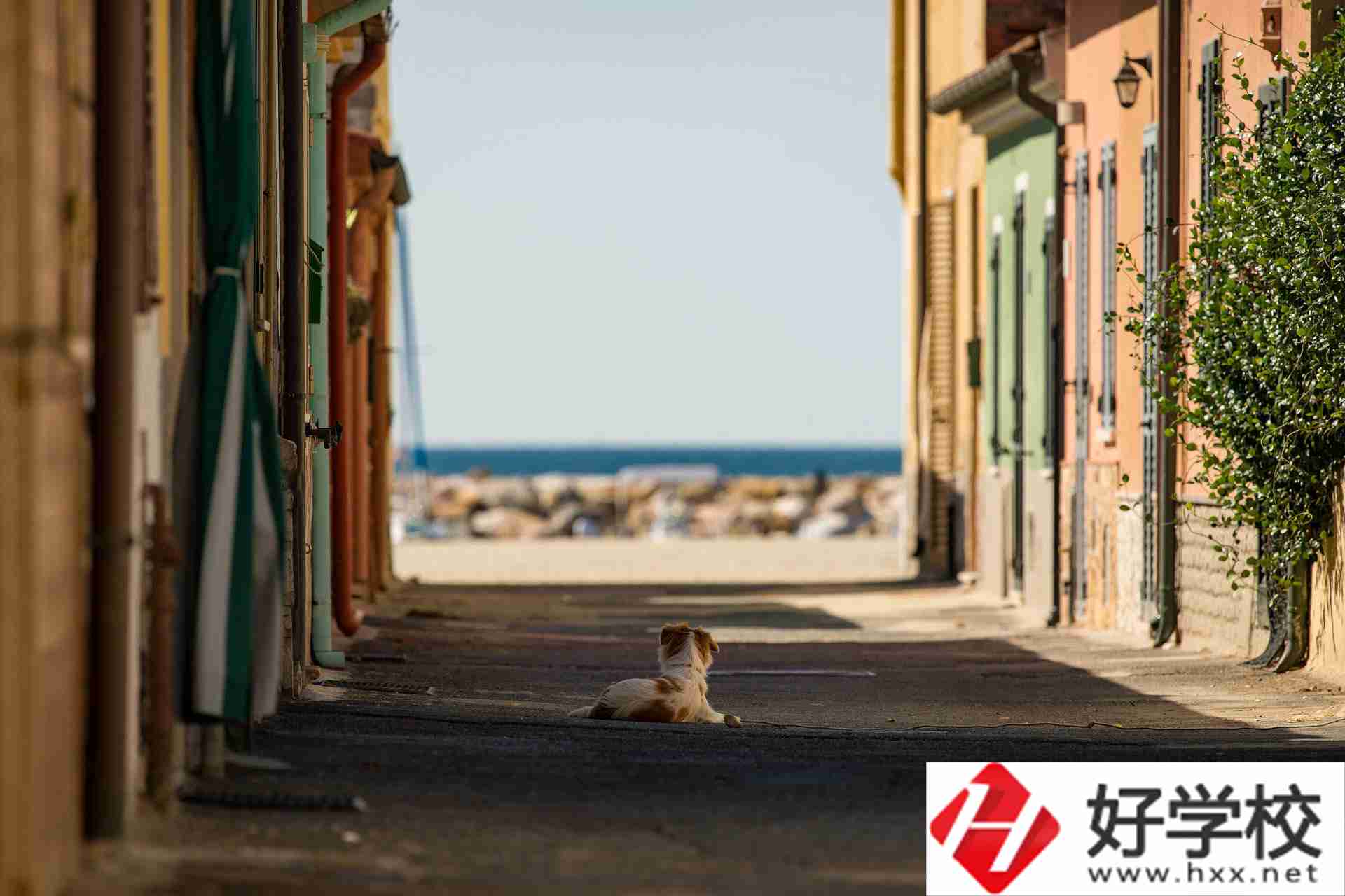 益陽市四通電腦中等專業學校什么專業強？