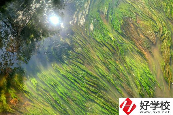 邵東縣職業中等專業學校辦學特色是什么?學費是多少?