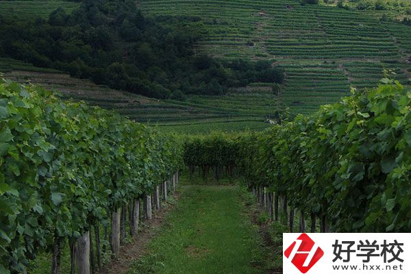 中鋼集團衡陽重機技工學校好不好？值得讀嗎？