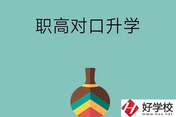 湖南職高對口升學可以考哪些大專？