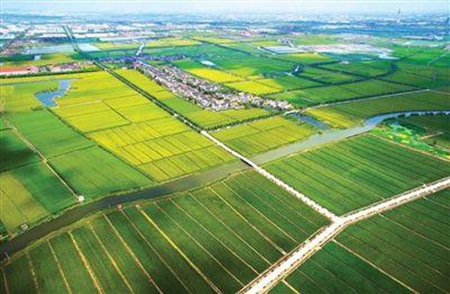 貴州農業機電學校