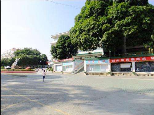 百色民族衛生學校