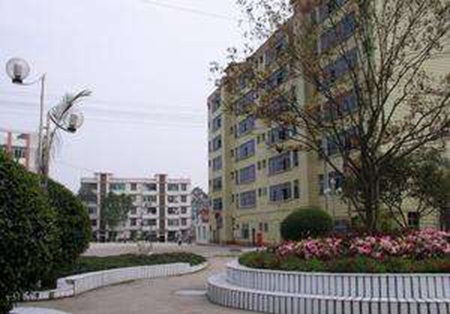 宜賓縣科普職業技術學校