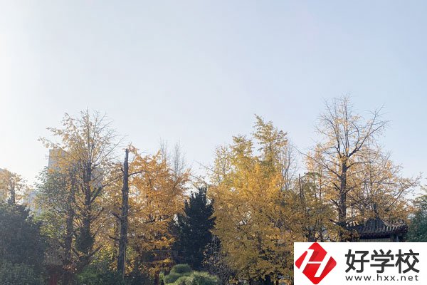 湘潭縣就業職業技術學校有哪些專業？就業前景怎么樣？