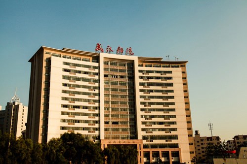 武漢船舶職業技術學院