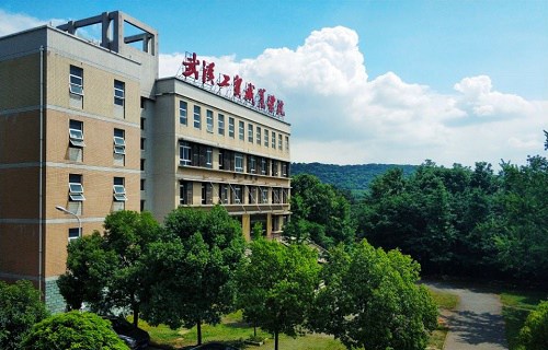 武漢工貿職業學院