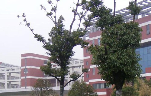 無錫衛校