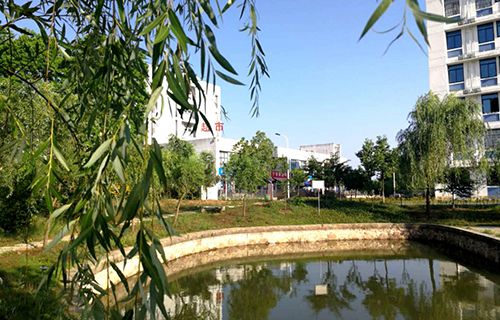 陽城縣西河職業高中