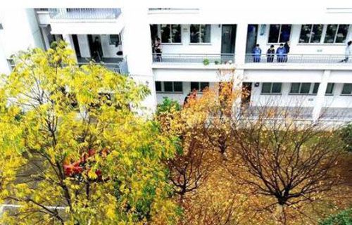 建德千島交通職業學校