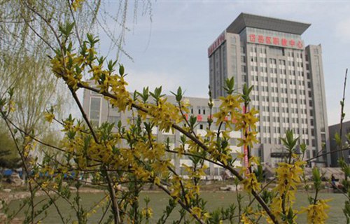 泰安市岱岳區職業中等專業學校
