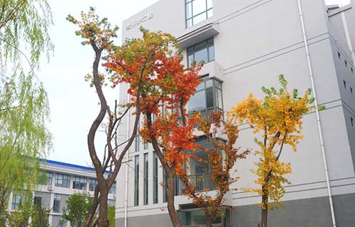 臨夏農業學校