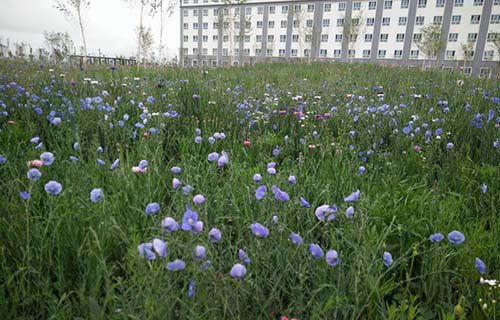 沂南縣職業教育學校