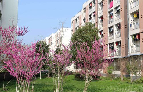 寧津縣職業中等專業學校