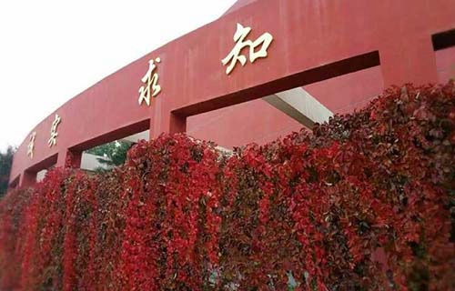 山西體育職業學院