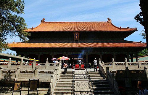 山東理工職業學院