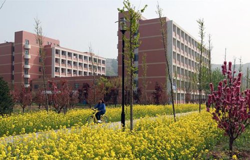 山東勞動職業技術學院