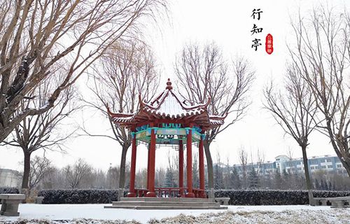 濰坊工商職業學院