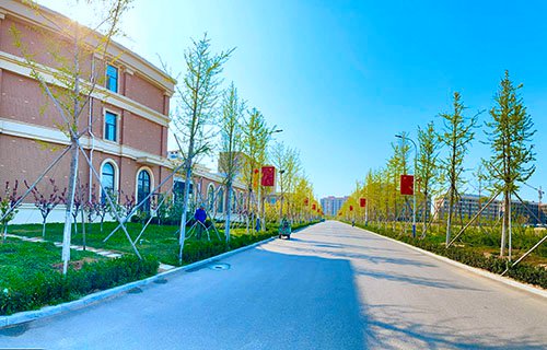 煙臺黃金職業學院