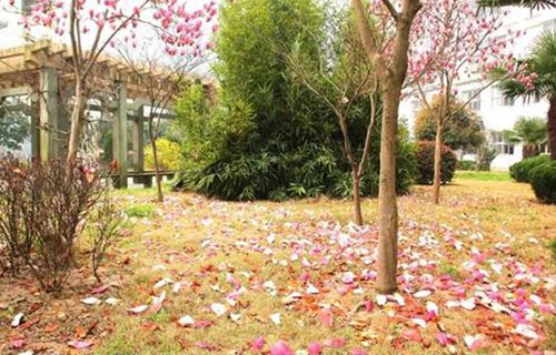 浙江省三門縣農業技術學校