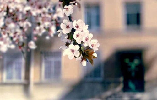 山東煙臺農業學校