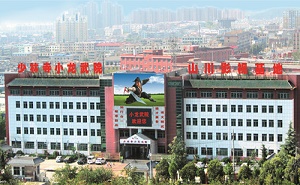 少林寺釋小龍武術中等專業學校