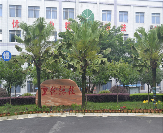 瀘州中等衛生職業學校就業政策