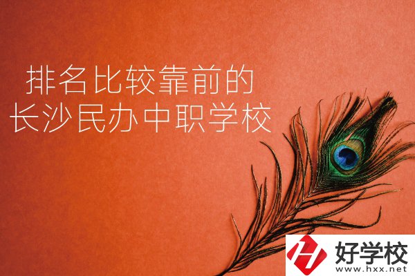 長沙哪些民辦中職學校排名比較靠前？