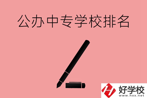 婁底哪些公辦中專學校排名比較靠前？