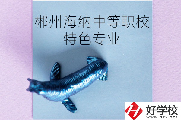 郴州海納中等職業技術學校有些什么特色專業？