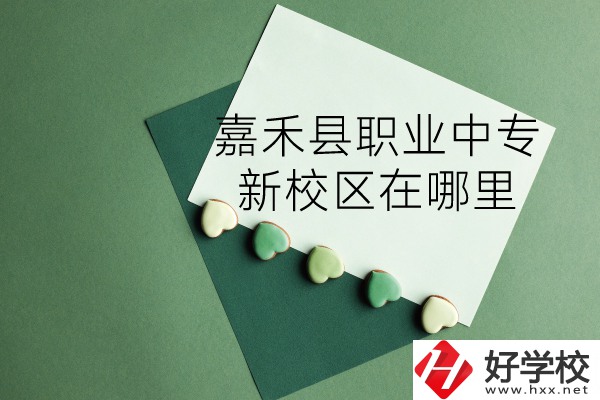嘉禾縣職業中專怎么樣？新校區在哪里？