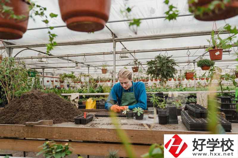 湖南省湘潭縣職校有什么專業可以選擇？