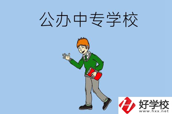 郴州公辦的中專一共有多少所？