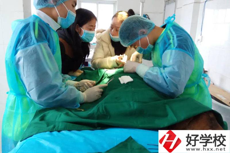 湘西保靖中等職校畜牧獸醫.jpg