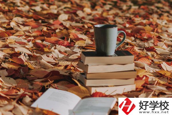 中方縣職業中等專業學校有什么專業？好不好？