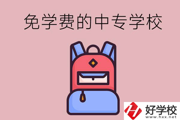 郴州市的中專哪些是免學費的？