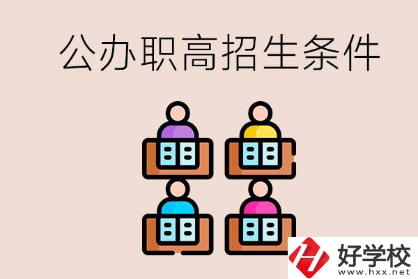 邵陽市有哪些公辦職高？學校的招生條件是什么？