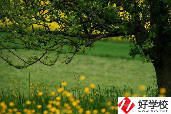 在邵陽讀中職有前途嗎？如何選擇學校呢？