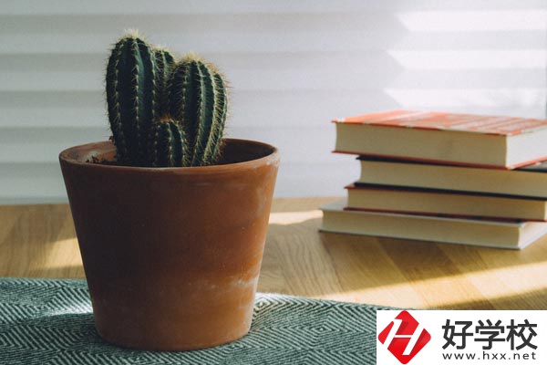 桃江縣職業中專學校辦學條件怎么樣？有哪些特色？