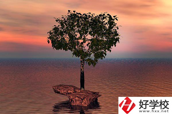 湖南省中南藝術學校收費標準怎么樣？
