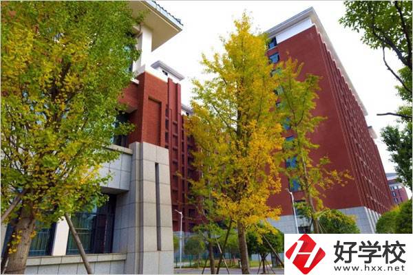 湖南藝術職業學院教學樓