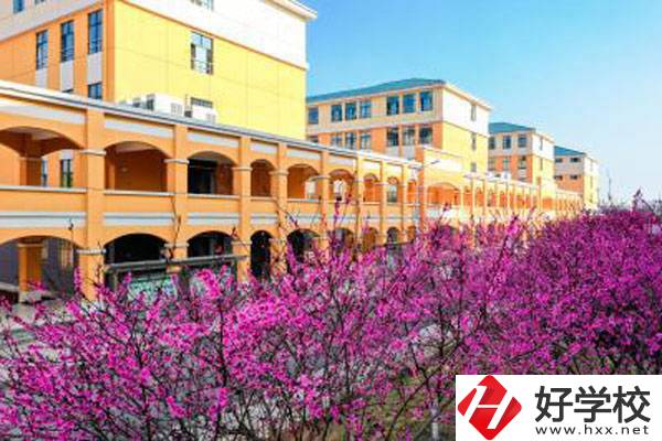 湖南省隆回縣職業中等專業學校有哪些辦學特色？