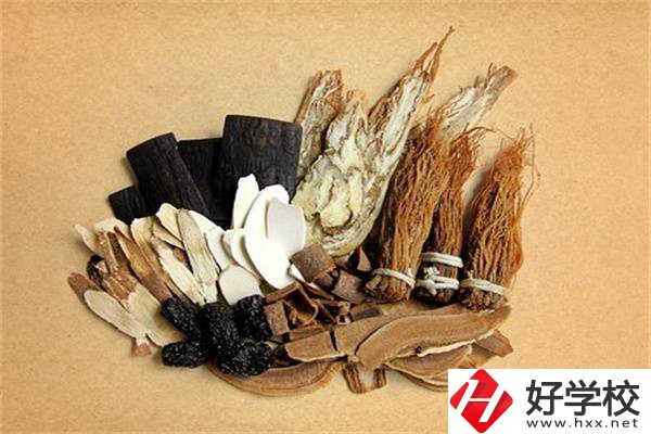 在湘西學中草藥栽培怎么樣？開設此專業的學校有哪些？